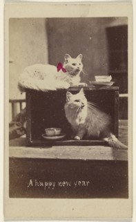 A happy new year; Henry Pointer, British, 1822 - 1889, about 1865; Hand-colored albumen silver print