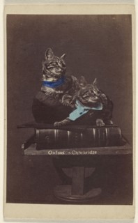 Oxford & Cambridge; Henry Pointer, British, 1822 - 1889, about 1865; Hand-colored albumen silver print