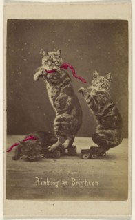 Rinking at Brighton; Henry Pointer, British, 1822 - 1889, about 1865; Hand-colored albumen silver print