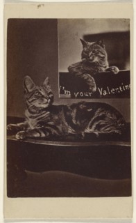 I'm Your Valentine; Henry Pointer, British, 1822 - 1889, about 1865; Albumen silver print