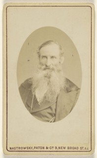 white bearded elderly man; William Charles Nastrowsky, Paton & Company; 1870s; Albumen silver print