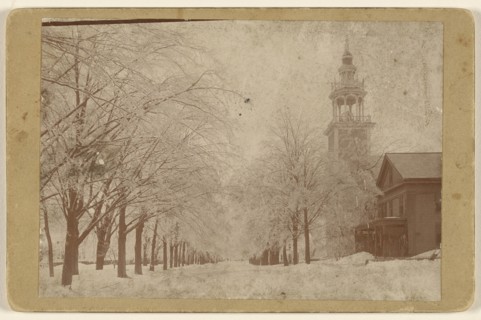 View of a tree-lined street with snow, Ashfield, Massachusetts; A.W. & G.E. Howes; 1896; Gelatin silver print