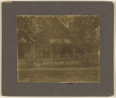 Vine St. Denver Colo.,View of houses with trees; American; about 1910; Gelatin silver print