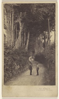 Men standing in tree-lined country lane; Adolphe Braun, French, 1812 - 1877, about 1865; Albumen silver print