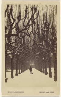 Lime Avenue, Trinity College in Winter; Hills & Saunders, British, active about 1860 - 1920s, May 1, 1866; Albumen silver print