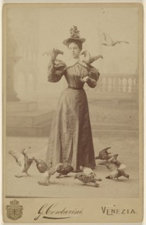 Beth D. Kimberly; Giovanni Contarini, Italian, active 1890s, about 1890; Albumen silver print