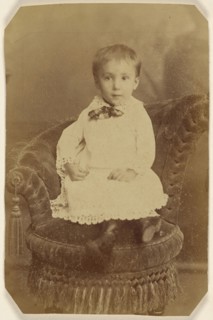 Portrait of a young child, seated; 1870s; Albumen silver print