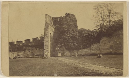 Walled pasture with cows at Trowbridge, Wilts, England; R. Wilkinson, British, active Trowbridge, England 1870s, about 1865