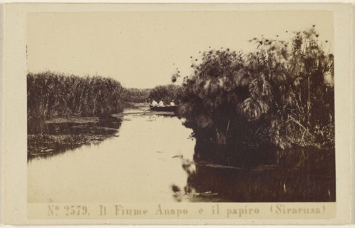 Il Fiume Anapo e il papiro, Siracusa, Sommer & Behles, Italian, 1867 - 1874, February 20, 1867; Albumen silver print
