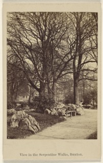 View in the Serpentine Walks, Buxton; Thomas Ogle, British, active Penrith, England 1850s - 1860s, 1864 - 1865; Albumen silver