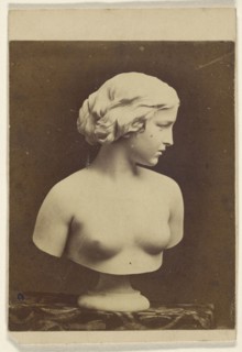 White Captive sculpture of a female torso; Erastus D. Palmer, American, active New York 1860s, 1860; Albumen silver print