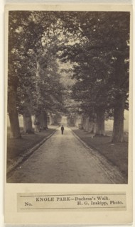 Knole Park - Duchess's Walk; H.G. Inskipp, British, active London, England 1870s, 1864 - 1867; Albumen silver print