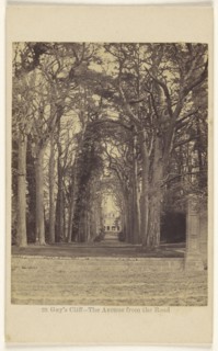 Guy's Cliff - The Avenue from the Road; Francis Bedford, English, 1815,1816 - 1894, 1862 - 1864; Albumen silver print