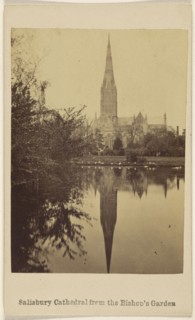 Salisbury Cathedral from the Bishop's Garden; British; about 1865; Albumen silver print