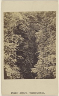 Devils Bridge, Cardiganshire; British; 1864 - 1866; Albumen silver print