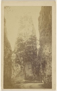 View near St. Remo; Davanne & Aléo; 1865 - 1867; Albumen silver print
