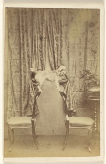 A dog balanced on two chair backs; Thomas Forrest, Welsh, active Pon-Y-Pridel, Wales 1860s - 1870s, 1865 - 1870; Albumen silver
