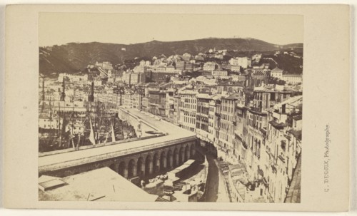 Genes. Venasse de Marbre; Celestino Degoix, Italian, active 1860s - 1890s, 1864 - 1865; Albumen silver print