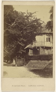 Entrance Lodge, Mamhead Park; F. Davies, British, active 1860s, 1865 - 1875; Albumen silver print