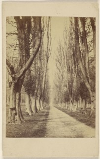 Avenue at Wollaton Hall. Lord Middleton near Nottingham; William Woodward, British, active Nottingham, England 1850s - 1860s