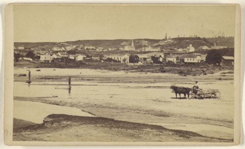 Santa Cruz, from the San Lorenzo, Santa Cruz Co; Lawrence & Houseworth; 1864-1867; Albumen silver print