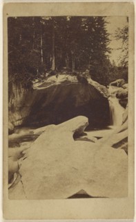 forest view with rocks and cavern; 1865 - 1875; Albumen silver print