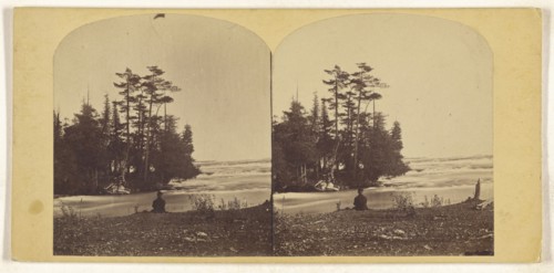 Lovers Retreat - Niagara; American; about 1870; Albumen silver print