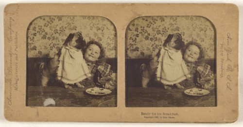 Ready for his Breakfast; Edward Clarke, American, active 1900s - 1910s, 1896; Hand-colored Albumen silver print