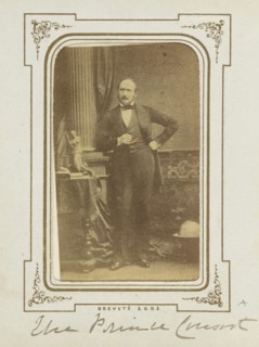 The Prince Consort; British; about 1860; Albumen silver print