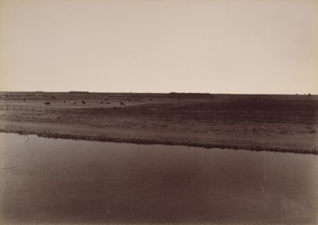 View on the Calloway Canal, near Poso Creek, Kern County; Carleton Watkins, American, 1829 - 1916, 1887; Albumen silver print