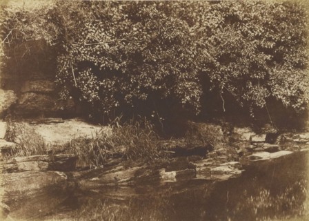Burnside, Fife; Hill & Adamson, Scottish, active 1843 - 1848, Northumberland, England; 1843 - 1848; Salted paper print