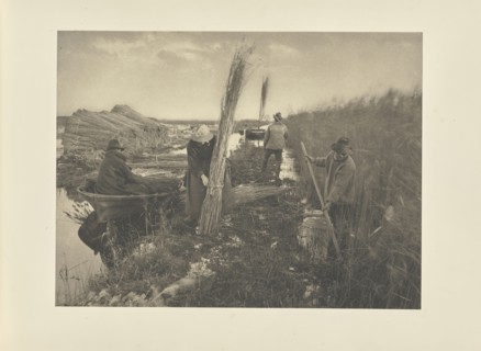 During the Reed-Harvest; Peter Henry Emerson, British, born Cuba, 1856 - 1936, London, England; 1886; Platinum print