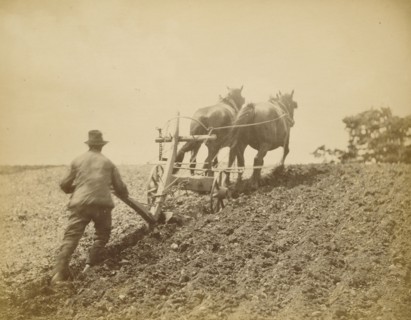 A Stiff Pull; Peter Henry Emerson, British, born Cuba, 1856 - 1936, 1885; Albumen silver print