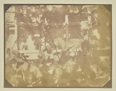 Leaves on a Trellis; Hippolyte Bayard, French, 1801 - 1887, about 1847; Salted paper print; 12.7 x 16.5 cm, 5 x 6 1,2 in