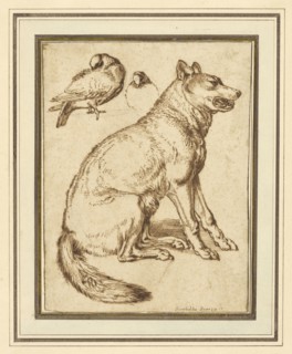 A Wolf and Two Doves; Sinibaldo Scorza, Italian, 1589 - 1631, Italy; about 1610 - 1620; Pen and brown ink over black chalk