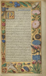 Decorated Text Page; Tours, France; about 1528 - 1530; Tempera colors and gold paint on parchment; Leaf: 16.5 x 10.3 cm