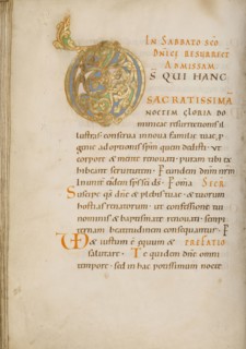 Decorated Initial D; about 1025 - 1050; Tempera colors, gold, and ink on parchment; Ms. Ludwig V 2, fol. 65v