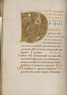 Decorated Initial D; about 1025 - 1050; Tempera colors, gold, and ink on parchment; Ms. Ludwig V 2, fol. 66v