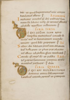 Decorated Initial D; Decorated Initial D; about 1025 - 1050; Tempera colors, gold, and ink on parchment; Ms. Ludwig V 2