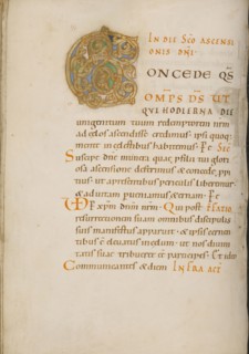 Decorated Initial C; about 1025 - 1050; Tempera colors, gold, and ink on parchment; Ms. Ludwig V 2, fol. 75v