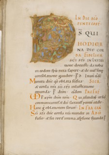 Decorated Initial D; about 1025 - 1050; Tempera colors, gold, and ink on parchment; Ms. Ludwig V 2, fol. 78v