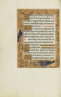 Decorated Text Page; Bruges, Belgium; about 1510 - 1520; Tempera colors, gold, and ink on parchment; Leaf: 23.2 × 16.7 cm
