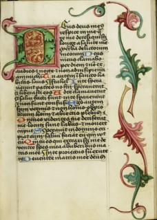 Decorated Initial D; Workshop of Valentine Noh, Bohemian, active 1470s, Prague, Bohemia, Czech Republic; about 1470 - 1480
