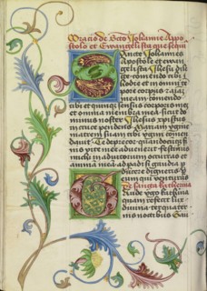 Decorated Initial S; Decorated Initial G; Workshop of Valentine Noh, Bohemian, active 1470s, Prague, Bohemia, Czech Republic