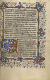 Decorated Initial E; London, England; 1420 - 1430; Tempera colors, gold leaf, gold paint, and ink on parchment