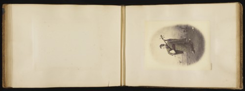 Street Singing Girl; Felice Beato, 1832 - 1909, Japan; 1866 - 1867; Hand-colored Albumen silver print