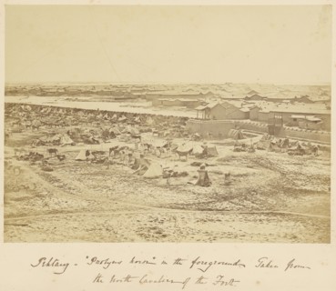Pehtang,  Probyn's Horse,  in the Foreground; Felice Beato, 1832 - 1909, China; 1860; Albumen silver print