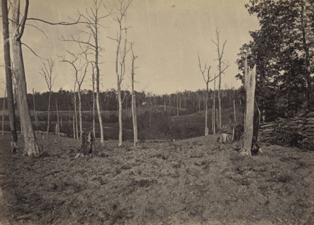 Battle Ground of Resacca, Georgia, No. 1; George N. Barnard, American, 1819 - 1902, New York, United States; negative