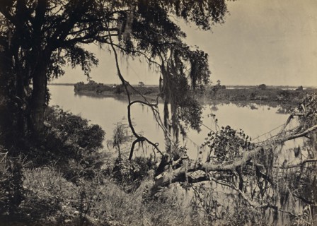 Savannah River, Near Savannah Georgia; George N. Barnard, American, 1819 - 1902, New York, United States; negative about 1865