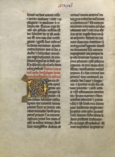 Decorated Initial N; Lille, France; about 1260 - 1270; Tempera, gold leaf, and pen and black ink on parchment